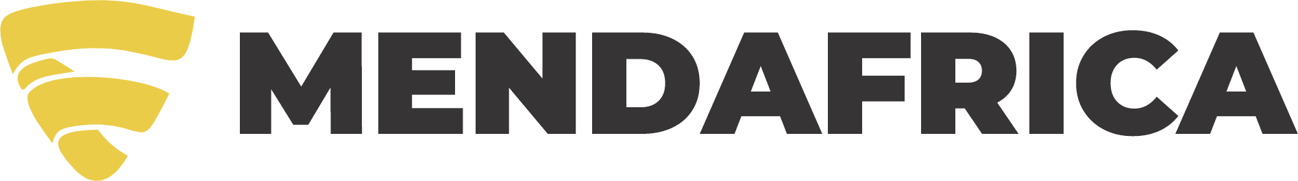 MendAfrica image
